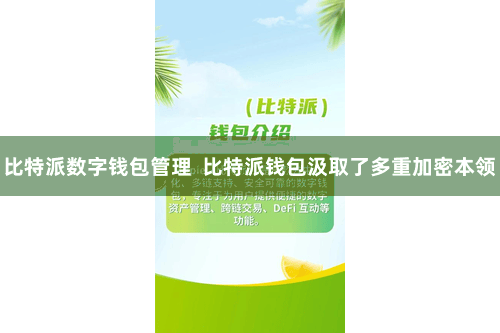 比特派数字钱包管理 比特派钱包汲取了多重加密本领